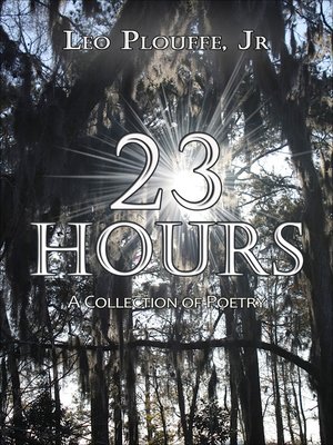 cover image of 23 Hours